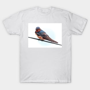 A Swallow T-Shirt